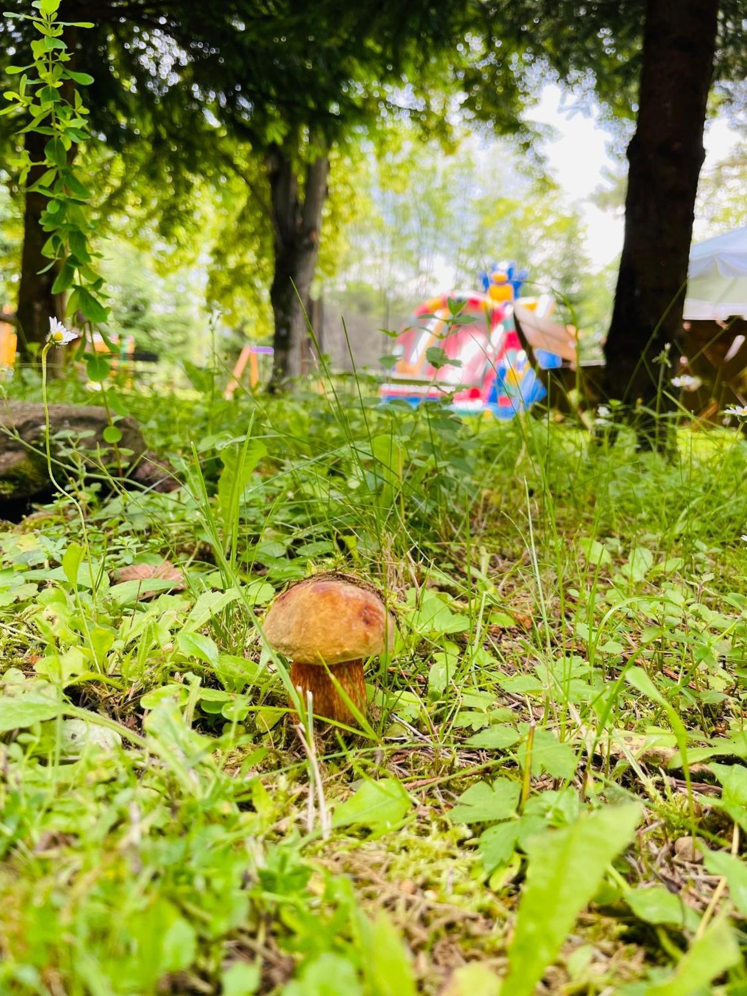 Ferienwohnung Osrodek Wczasow Zdrowotnych Rudawka Rymanowska Exterior foto
